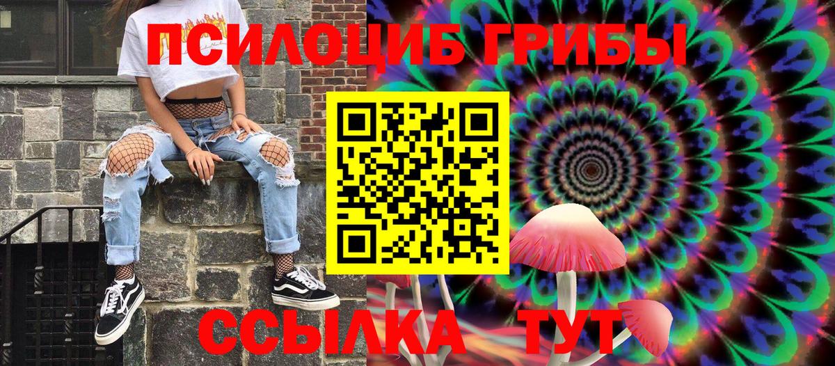 Псилоцибиновые грибы GOLDEN TEACHER Владимир