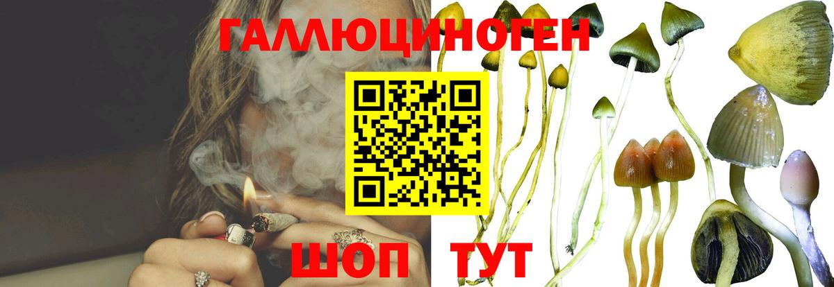 Владимир  Галлюциногенные грибы MAGIC MUSHROOMS  Вход с VPN 
